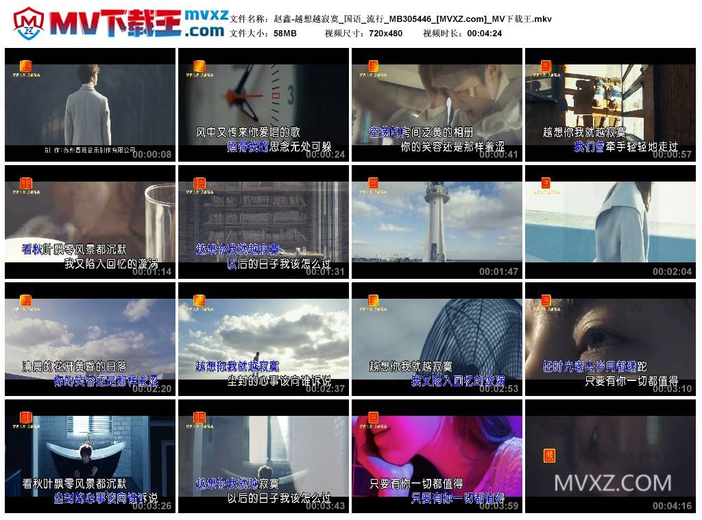 赵鑫-越想越寂寞_国语_流行_MB305446